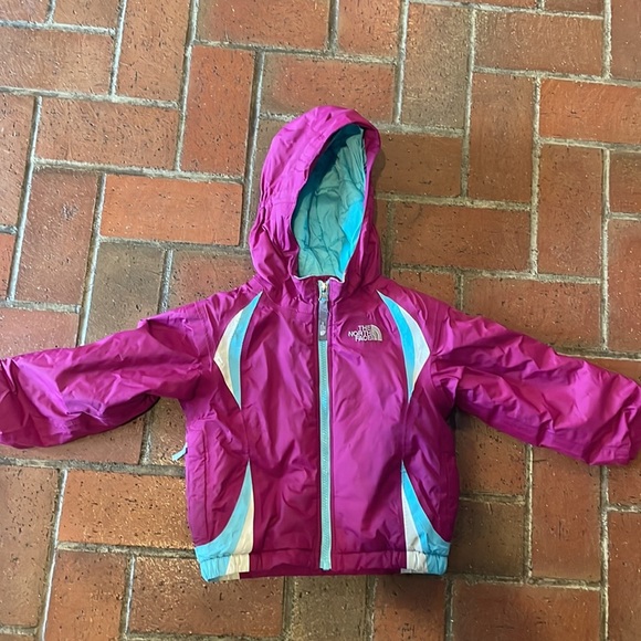 The North Face Pink and Blue Puffer Jacket with Hood - Picture 1 of 5